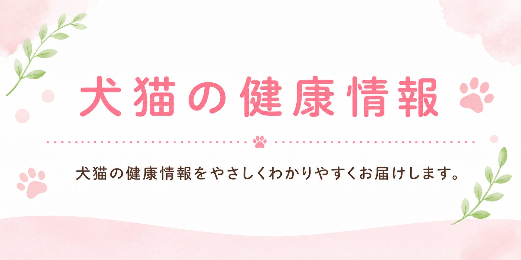 犬猫の健康情報